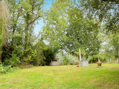 Picture 14
